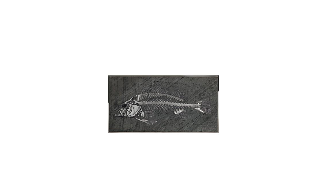 lisca-di饰品